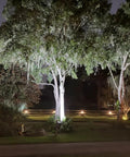 Night scene of 2 Pack Solar Flood Lights Outdoor Dusk To Dawn Auto On Off IP65 Waterproof illuminating trees and garden area.