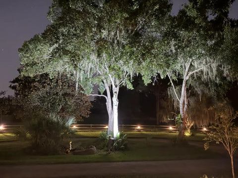 Night scene of 2 Pack Solar Flood Lights Outdoor Dusk To Dawn Auto On Off IP65 Waterproof illuminating trees and garden area.