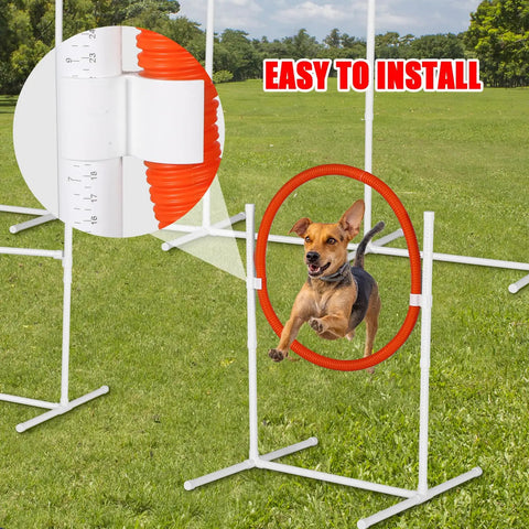 Dog jumping through hoop from 6 Pack Dog Agility Jumps With Carry Bag, Adjustable Height Dog Jump Bars for Indoor and Outdoor Training.