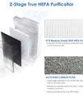 D3 Replacement Filter For Winix D360 Air Purifier with H13 Main Filter and four Activated Carbon filters in purifier graphic