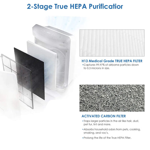 D3 Replacement Filter For Winix D360 Air Purifier with H13 Main Filter and four Activated Carbon filters in purifier graphic