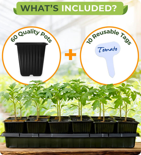 Image showing 60 Pack Square Nursery Pots For Seedlings, 3.5 Inch Plant Pots with Drainage Holes, and 10 reusable tags.