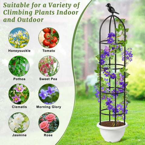 Obelisk Garden Trellis For Climbing Plants 6 Ft Rustproof Plastic Coated Metal Vine Support Cage For Pots No Fuss Ideal