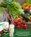 Basket of fresh vegetables with a Soil PH Test Kit with Upgraded 125 Strips and Measuring Cylinders in a garden setting.