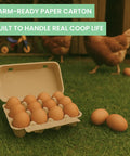 50 Pack Egg Cartons That Hold 12 Eggs Each Built From Molded Pulp Paperboard Eco Friendly Reusable Storage For Backyard