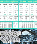 JIC And ORFS Hydraulic Fittings Kit 144 Pcs Cap And Plug Set chart with fittings overview and installation usage.
