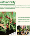 Hand picking red tomatoes from plant with green leaves; compost bin with food waste next to it.