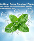 Mint leaves illustrating the mint flavor of 3 In 1 Floss For Braces And Bridges With 120 Pre Cut Strands, Easy Glide Precision Clean