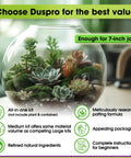 All In One Terrarium Kit With Premium Soil Mix Pumice Zeolite Moss Sphagnum Moss Decorative Stones Mesh And Tools For DIY Terrariums