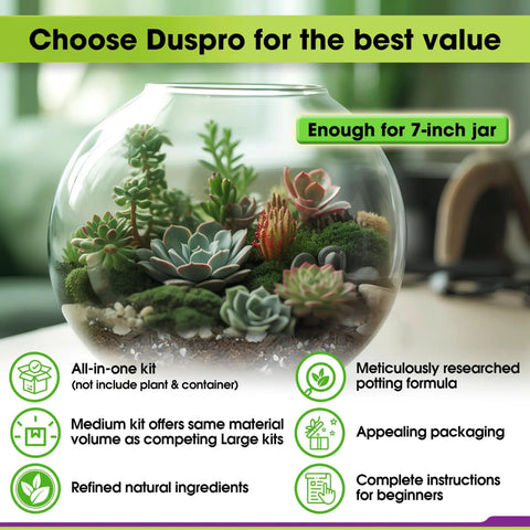 All In One Terrarium Kit for DIY Terrariums ✓