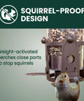 Squirrel Be Gone Max Bird Feeder with Four Flexport Feeding Stations, weight-activated seed shield in action, side view.