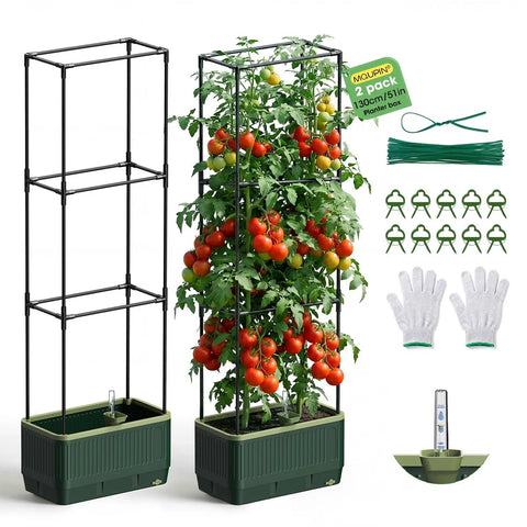 Self Watering Tomato Planter With Trellis And Water Level Indicator, Large Rectangular Cages For Indoor Climbing Plants