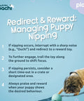 Instructions for using Mini Tuggi Ball Dog Toy With Stretchy Bungee Handle for managing puppy nipping.
