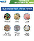 Diagram of allergens and pollutants filtered by Six Pack Premium Humidifier Filter Replacement for Honeywell HCM Series and HAC Models