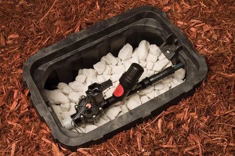Rain Bird PRF07530S inline drip irrigation Y-filter, 3/4 in MPT, 30 psi regulator, installed in a valve box