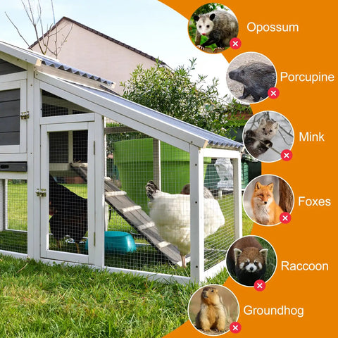 Chicken coop with Tough As Nails 16In By 50Ft Hardware Cloth Mesh Half Inch 19 Gauge Galvanized Rust Proof for animal protection.