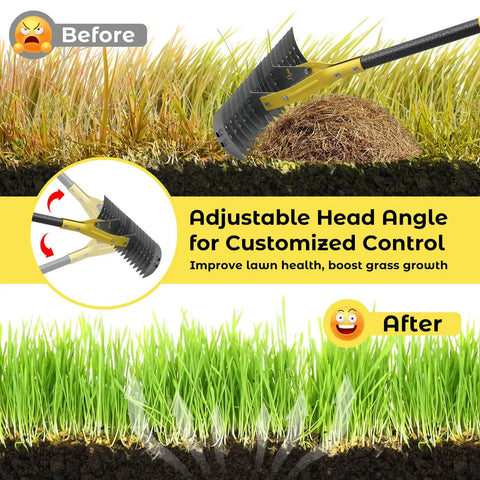 55 Inch Dual Head Thatching Rake For Lawn Care, Heavy Duty 19 Teeth Steel Garden Rake with adjustable head shown in before and after use