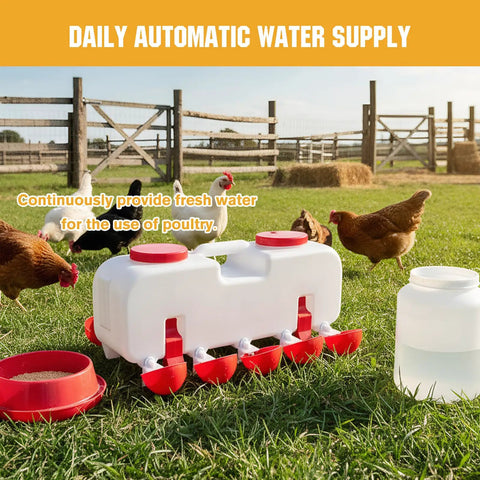 Backyard Boss Automatic Chicken Waterer Featuring Ten Heavy Duty Cups Plus A 9.6 Gallon Self Filling Reservoir in a chicken coop.