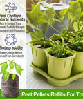 100 Pack 30mm Peat Pellets Seed Starter Pods for Easy Seed Starting Expand to Eight Times Their Size When Watered Creates Individual Seedling Pots with No Mess Soil Prep Ideal for Garden Seeds Herbs Flowers and Vegetables displayed in plant trays with growing seedlings.