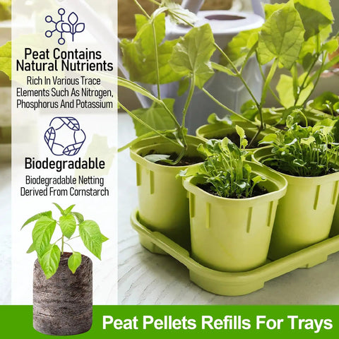 100 Pack 30mm Peat Pellets Seed Starter Pods for Easy Seed Starting Expand to Eight Times Their Size When Watered Creates Individual Seedling Pots with No Mess Soil Prep Ideal for Garden Seeds Herbs Flowers and Vegetables displayed in plant trays with growing seedlings.