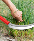 Person using 2 Pack Harvest Sickle With Plastic Handles, Sawtooth 6.5 Inch Stainless Steel Blade, Japanese Weeding Hoe for yard work, orange handle