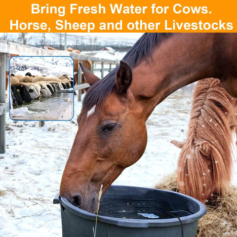 Ditch The Daily Ice Chipping Grind With This Heavy Duty 500W Poultry Water Heater Featuring An Auto Thermostat And Rugged Aluminum Bird Bath Deicer Plus Dependable Livestock Trough Warmer For Backyard Hydration with horse drinking from heated water trough.