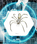 Metal Spider Model Kit For Adults With Brass Gears And Steampunk Flair A 3D Mechanical Insect Sculpture Crafted From Premium Laser Cut Steel Over 100 Parts Lets You Build In A Few Hours Dope For Gearhead Hobbyists And Great For Home Office Decor Gift on a technological background