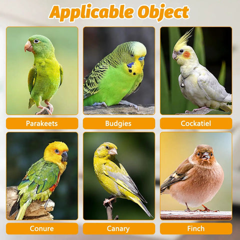 Awesome 2 Pack Automatic Bird Water Dispenser With No Mess Design For Parrot And Budgie Cages featuring parakeets, budgies, cockatiels, conures, canaries, and finches.
