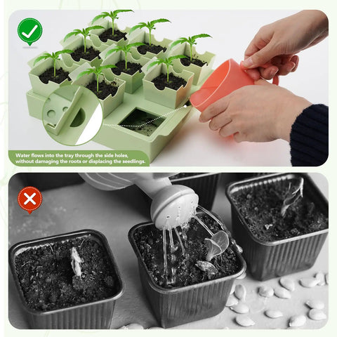 Hands watering seedlings in Seed Starter Tray With Deep 2.3 Inch Cells And Dual Handles That Double As Labels 9 Cell Germination Kit