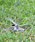 Heavy Duty Metal 3-Arm Rotating Sprinkler With Wheeled Base, 360 Degree Lawn Sprinkler For Small Yards in operation on grass
