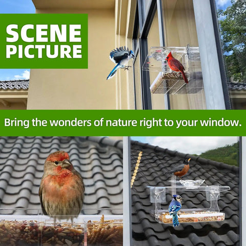 Crystal Clear Window Bird Feeder With Non Marking Self Adhesive Hooks installed on window with birds feeding