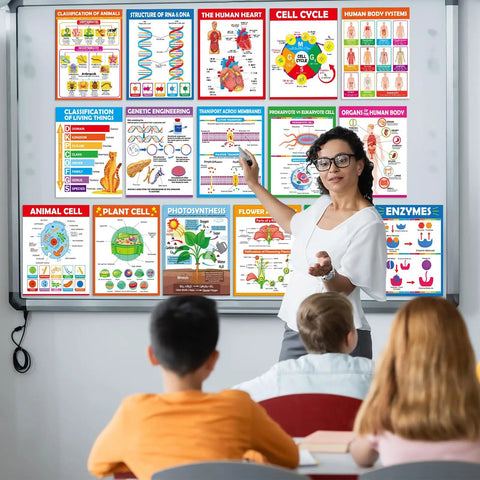 Teacher using 16 Pack Life Science Biology Posters for Classroom Decor anatomy and cell structure charts DNA photosynthesis education.