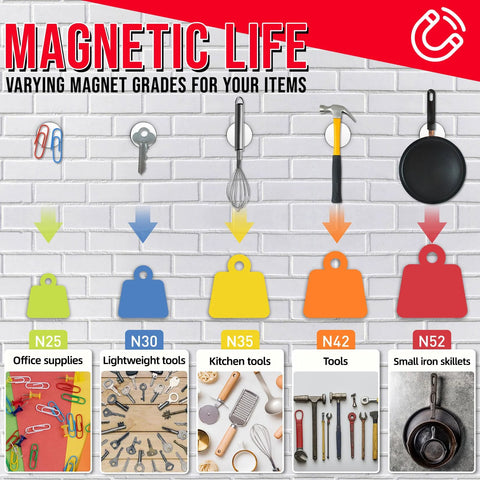 Front view of FINDMAG magnets banner with colorful neodymium disc magnets labeled N25-N52 and category cards