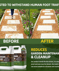 Heavy Duty Garden Glue That Sticks Mulch Stones Pebbles Pine Straw and Gravel in Place, Weatherproof and Non Toxic, before and after image