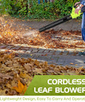 Person using Cordless Leaf Blower With 2 Batteries And Charger, 2 Speed Modes, Lightweight Electric Blower for leaves on a path