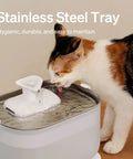 Cat drinking from No Fuss Cat Water Fountain With Stainless Steel Tray, Wireless Pump, Dual Flow Water Streams, 2.5L Automatic Pet Water Dispenser
