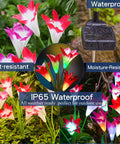 Outdoor Solar Lily Lights Upgraded Multi Color Changing Flower Garden Lights For Patio And Yard, Bigger Lily Flower