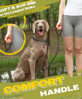 Heavy Duty Slip Lead Dog Leash 6 Ft Half Inch No Pull Training Rope with comfort grip held by woman walking a large dog