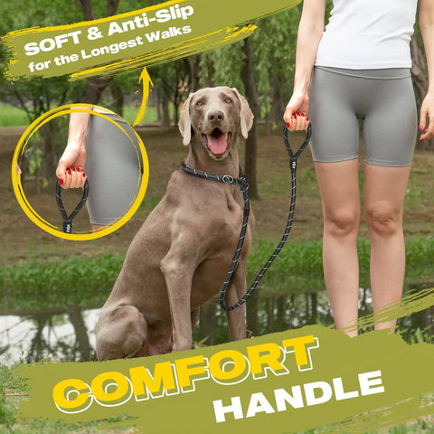 Heavy Duty Slip Lead Dog Leash 6 Ft Half Inch No Pull Training Rope with comfort grip held by woman walking a large dog