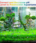 Aquarium with plants and fish for PH Up and Down Control Kit with 9oz and 9oz Buffer Solutions for Hydroponics, Soil Gardening and Pools.