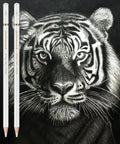 Six Pack White Color Pencils For Sketching On Dark Paper, Perfect For Shading, Blending, And Highlighting, tiger drawing