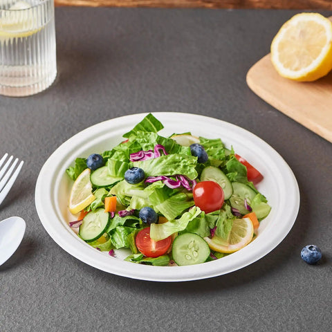 Heavy Duty 150 Count 10 Inch Paper Plates Made From Sugarcane Bagasse White Unbleached Compostable Dinner Plates No Plastic Lining
