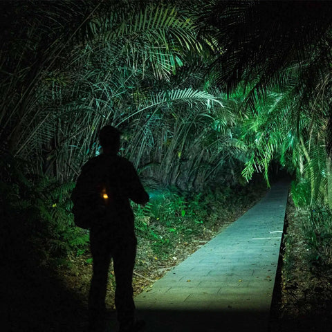 Person using Dope 700 Lumen USB C Rechargeable EDC Flashlight With Dual Power and Multifunctional Sidelight on forest path