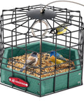 Ultra Sturdy Squirrel Proof Platform Bird Feeder for Outdoor Hanging 10 Inch Wide Metal Cage With Seed Tray Green Recycled Plastic Feeding Platform Attracts Finches And Small Wild Birds While Blocking Squirrels