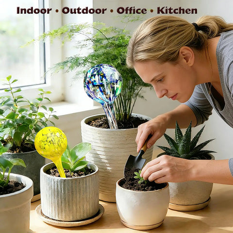 Six Pack Colorful Glass Plant Watering Globes For Indoor Pots And Outdoor Hanging Plants Self Watering Bulbs For Vacation Plant Care No Fuss Drip Irrigation System Easy Garden Patio Watering Solution shown in use with indoor houseplants.