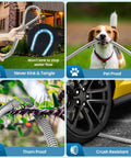 Garden hose collage: metal braided hose held by hand; dog with hose in mouth; thorny plant nearby; car wheel near hose.