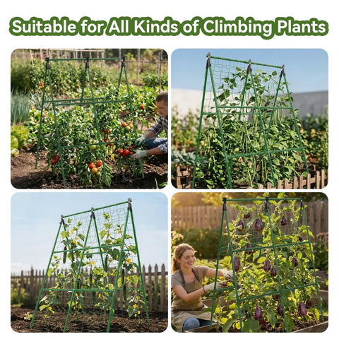 Two Pack 34 By 48 Inch A Frame Garden Trellis For Climbing Plants Outdoor Perfect For Raised Beds Supports Tomatoes Squash Zucchini Veggies And Flowers in garden setting