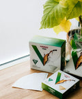 V60 Size 02 Paper Coffee Filters Natural Unbleached 40 Count boxes and single filter on wooden table near plant