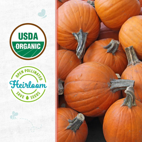 Small Sugar Pumpkin Seeds Packet 2.5G 100 Percent Organic Non GMO Seed Packet For Indoor And Outdoor Growing Easy To Grow All Seasons Year Round Harvest with pumpkins and organic certification icons visible.