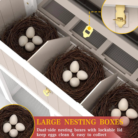 Close-up of spacious wooden chicken coop with four large nesting boxes for eggs, showcasing dual-side design and lockable lids.